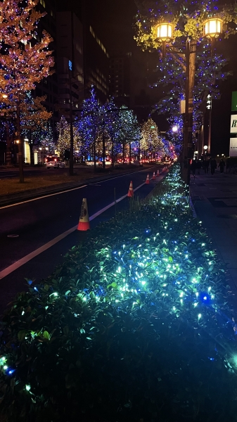 今年もこの時期がやって来ました