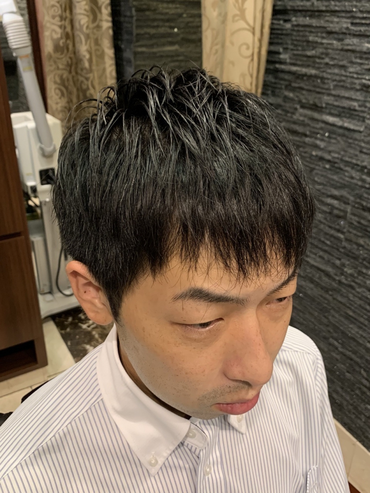 刈り上げない ビジネスマンスタイル ヘアカタログ 高級理容室 床屋 ヘアサロン Premium Barber プレミアムバーバー