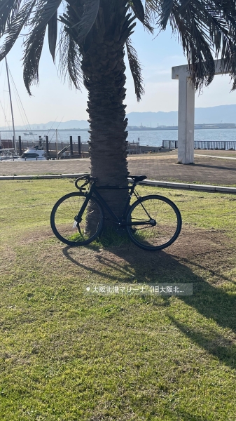 休日は自転車で自然に触れました