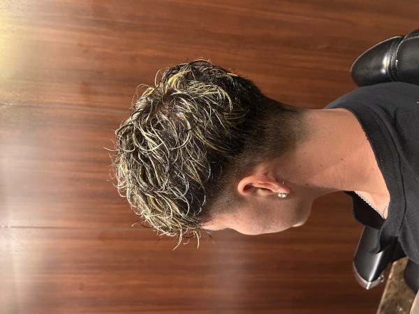 メッシュスペインカール